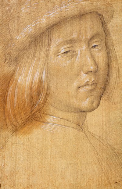 Head of a Youth by Lorenzo di Credi